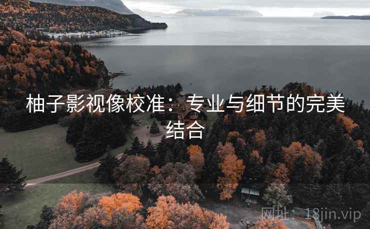 柚子影视像校准:专业与细节的完美结合 柚子影视像校准:专业与细节的完美结合