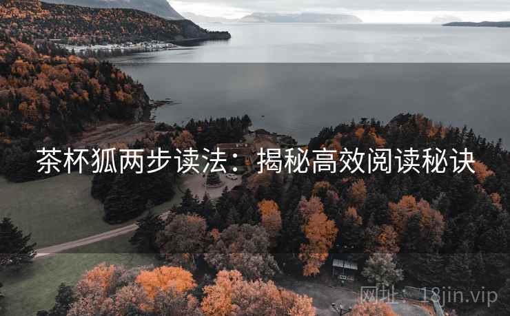 茶杯狐两步读法：揭秘高效阅读秘诀